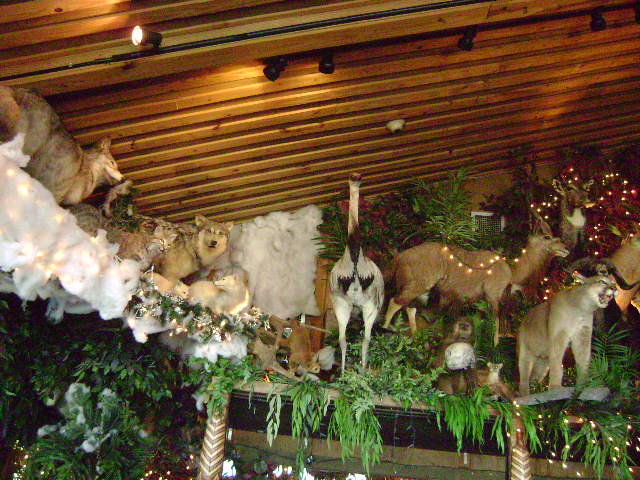 Clark's 4-20-08 022.jpg